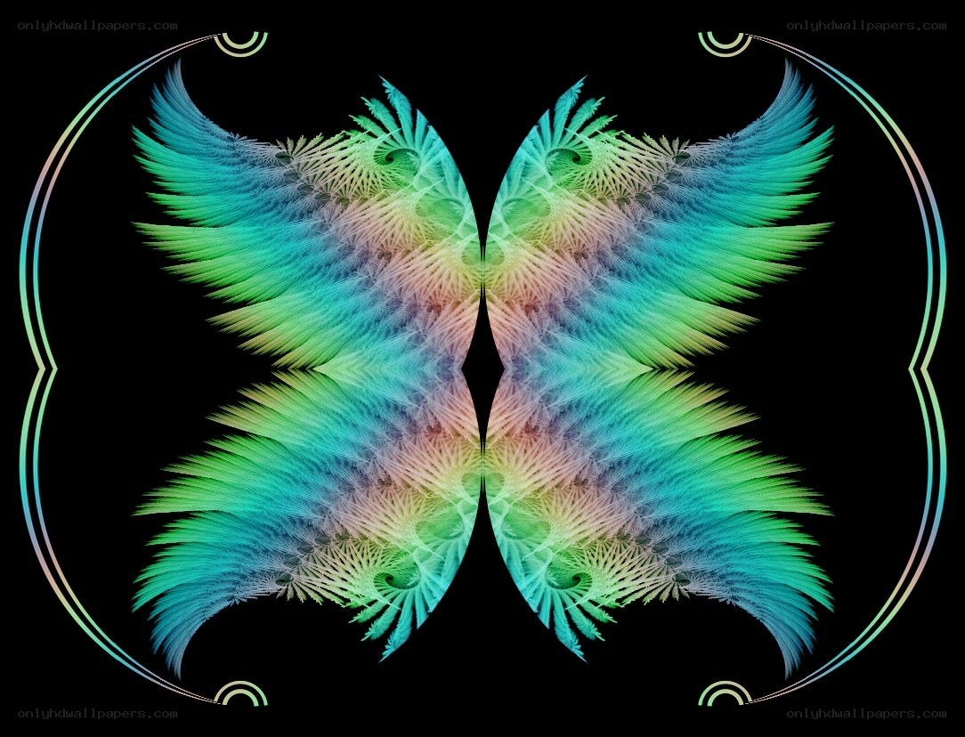 fractal butterfly wings