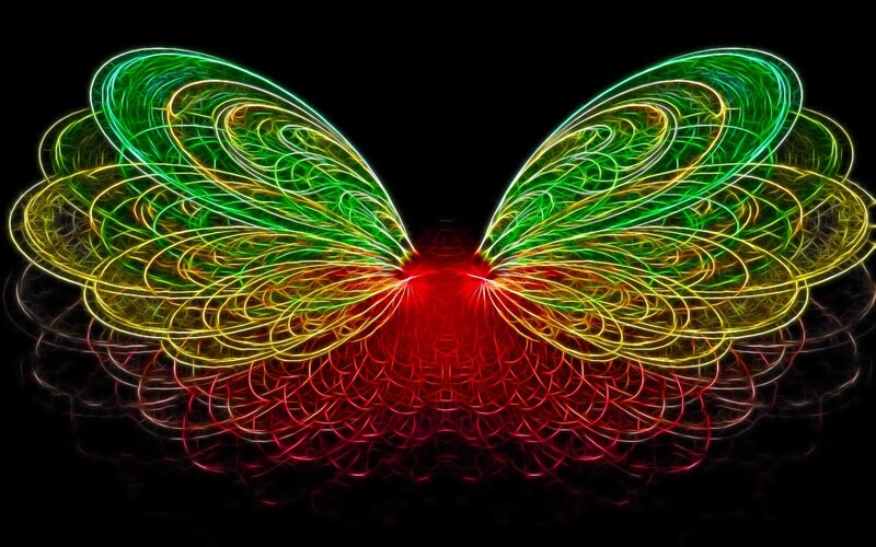 fractal butterfly wings