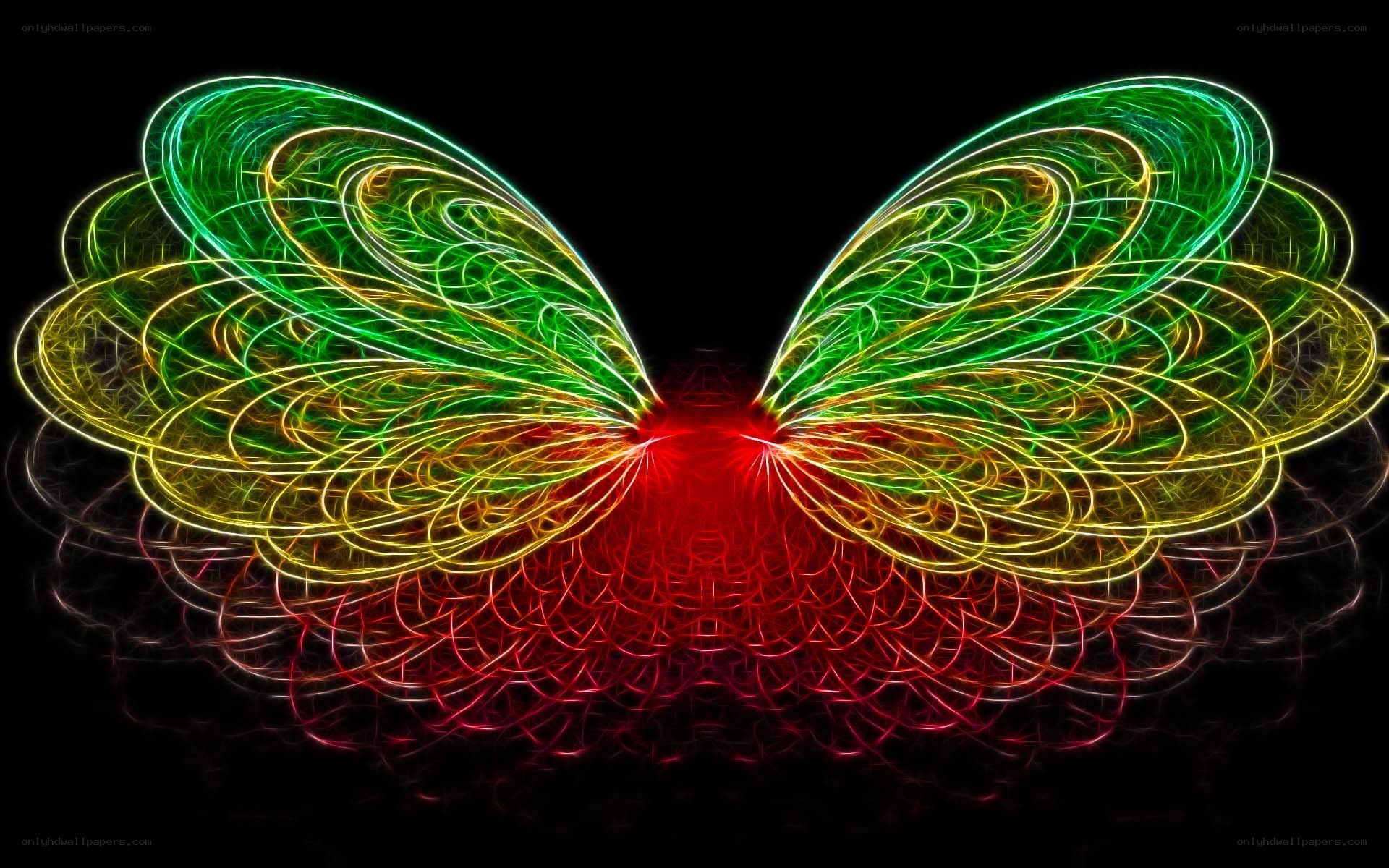 fractal butterfly wings
