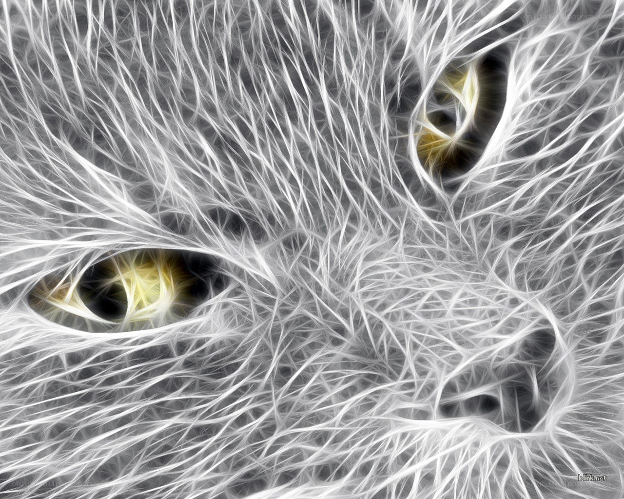 fractal cat eyes