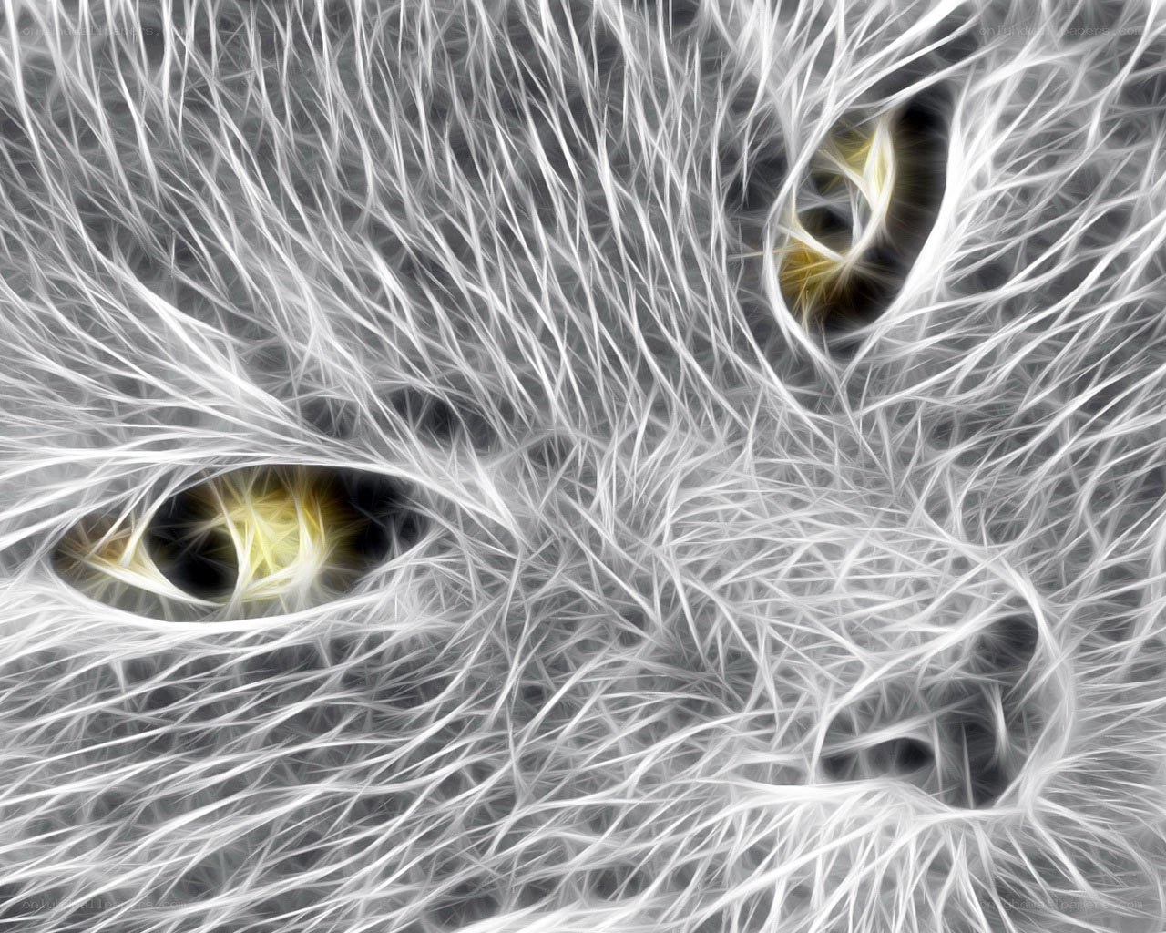 fractal cat eyes