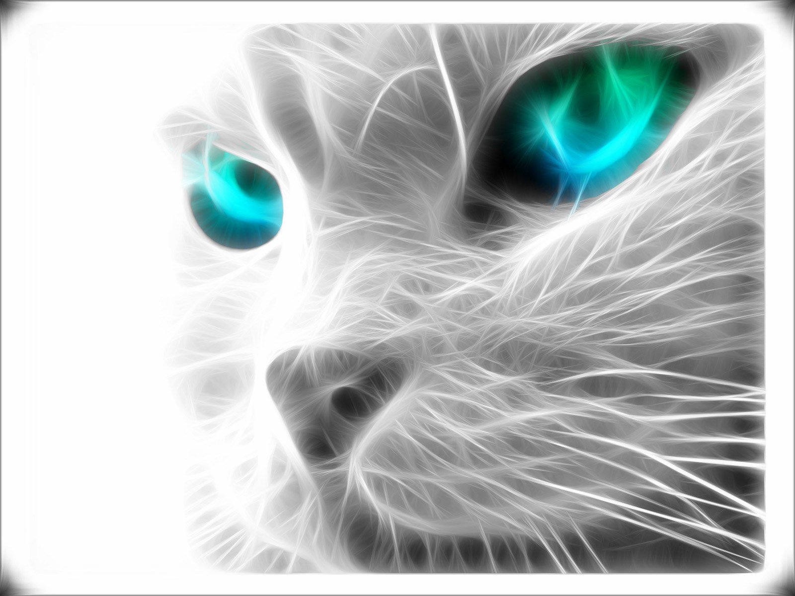 fractal cat eyes