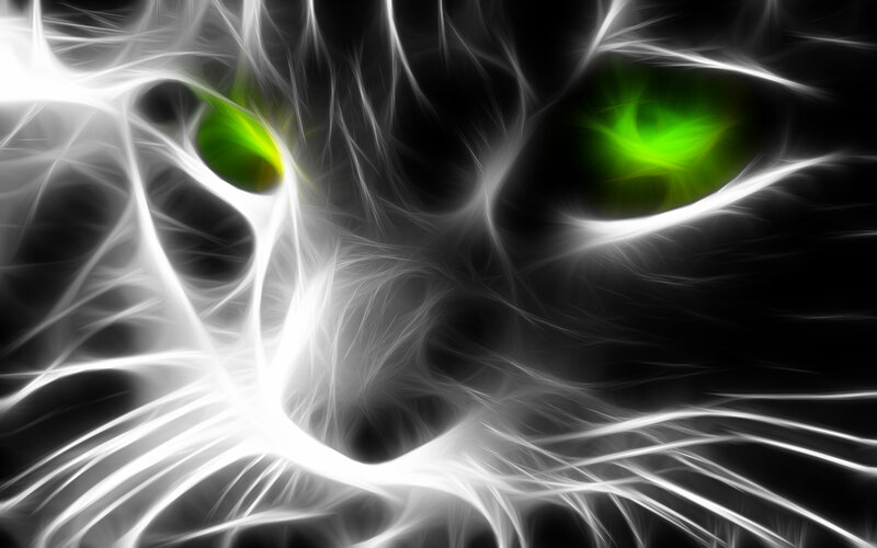 fractal cat eyes