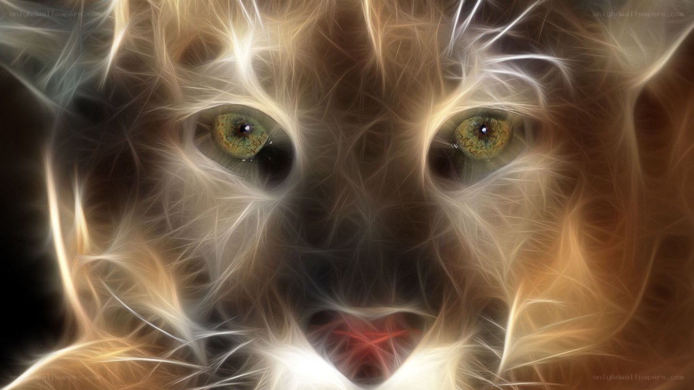 fractal cat eyes