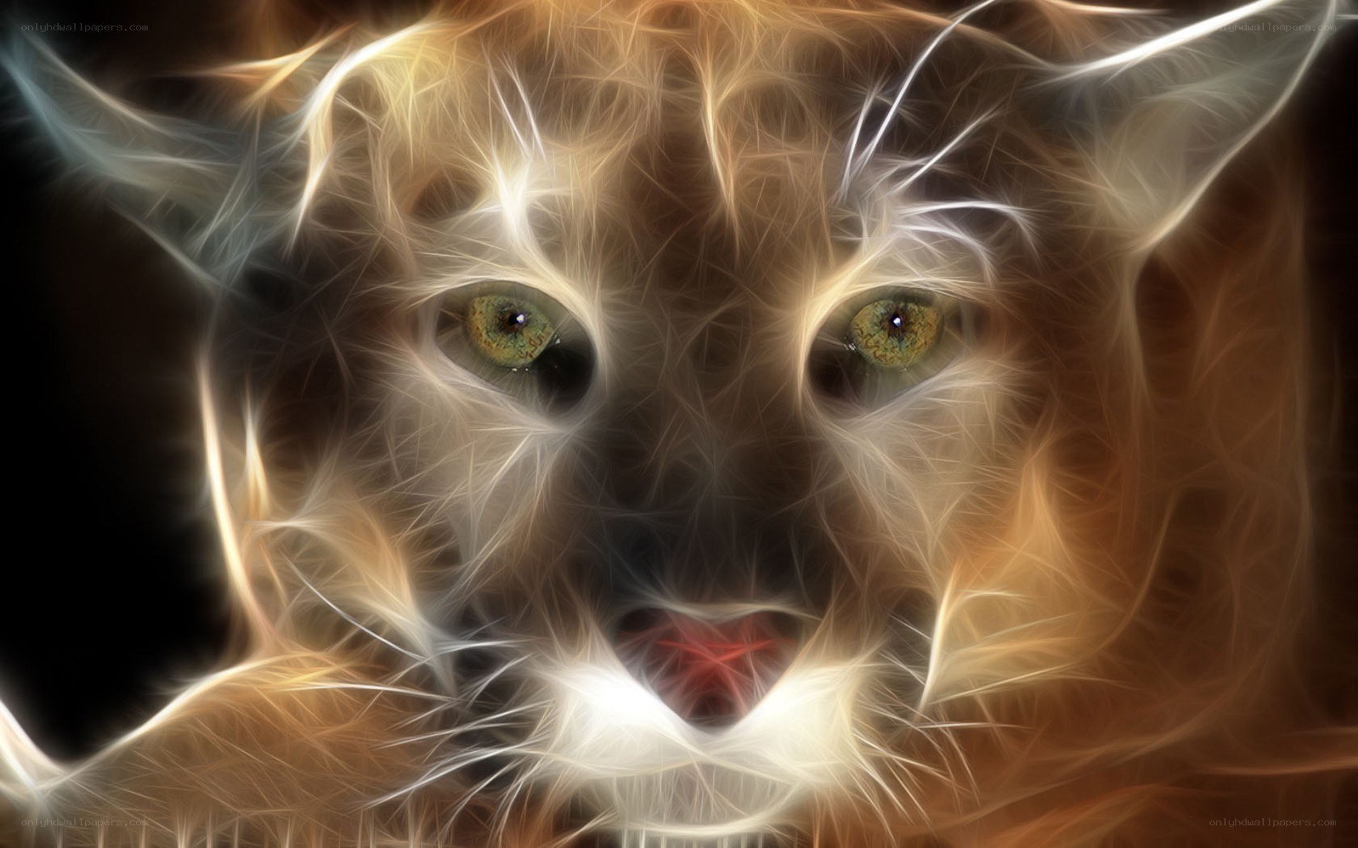 fractal cat face art