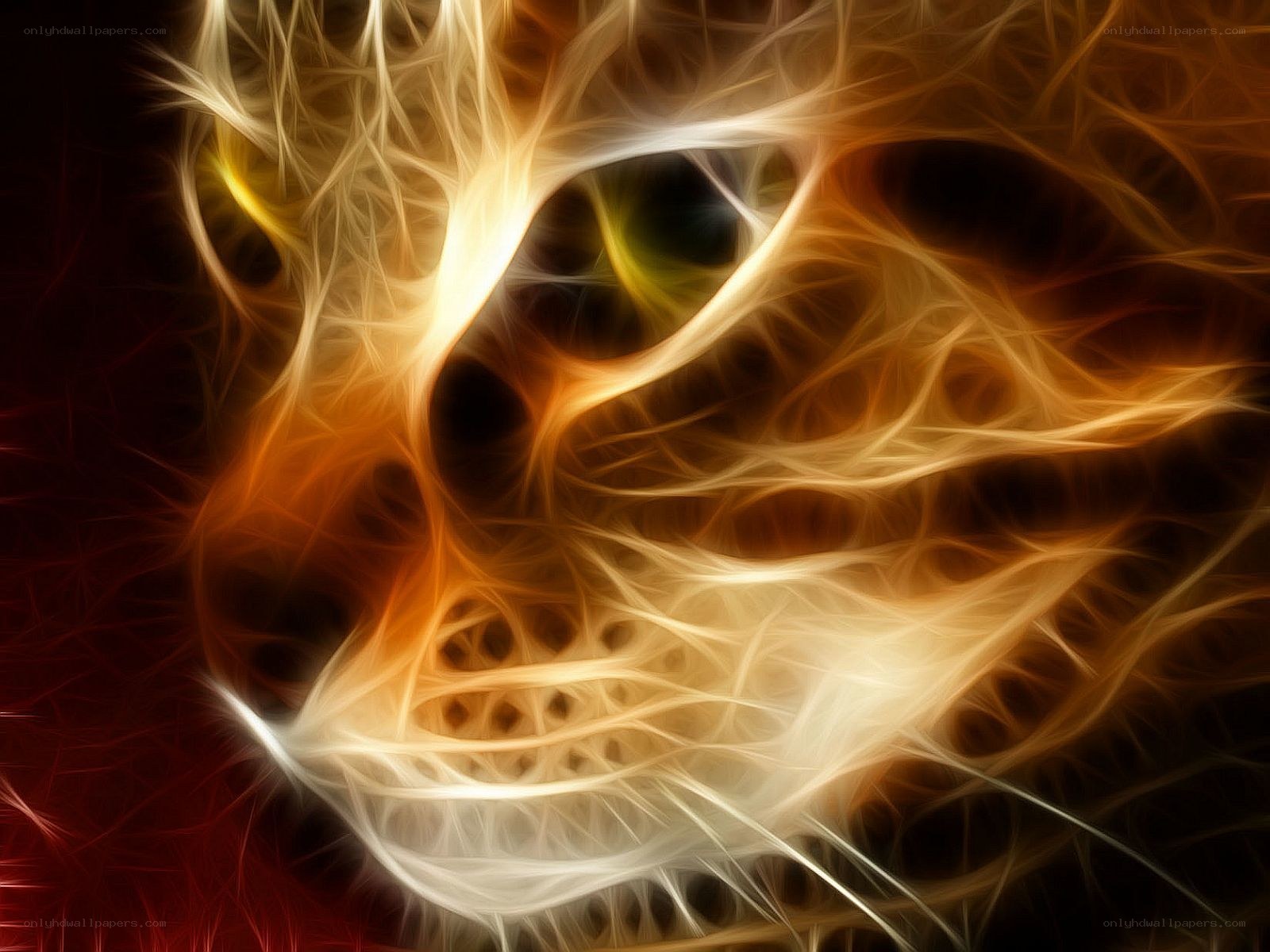 fractal cat face art