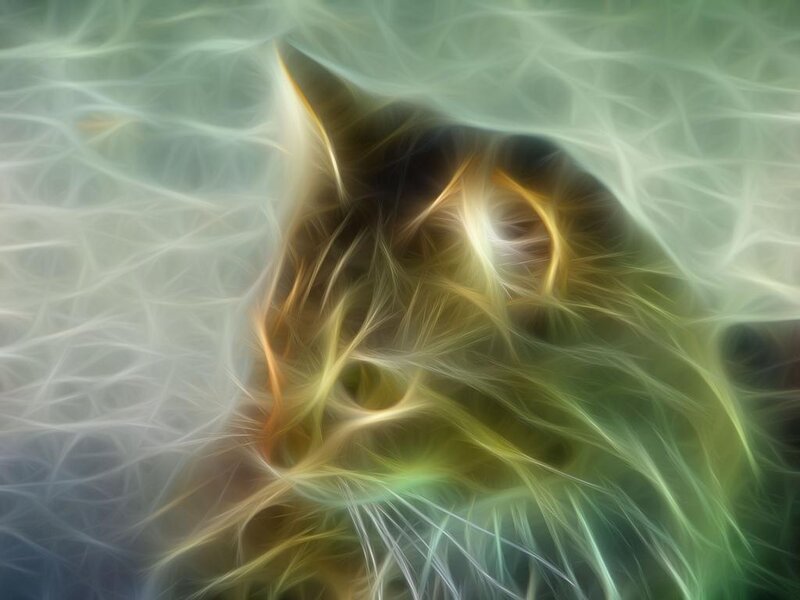 Fractal Cat Face — Green