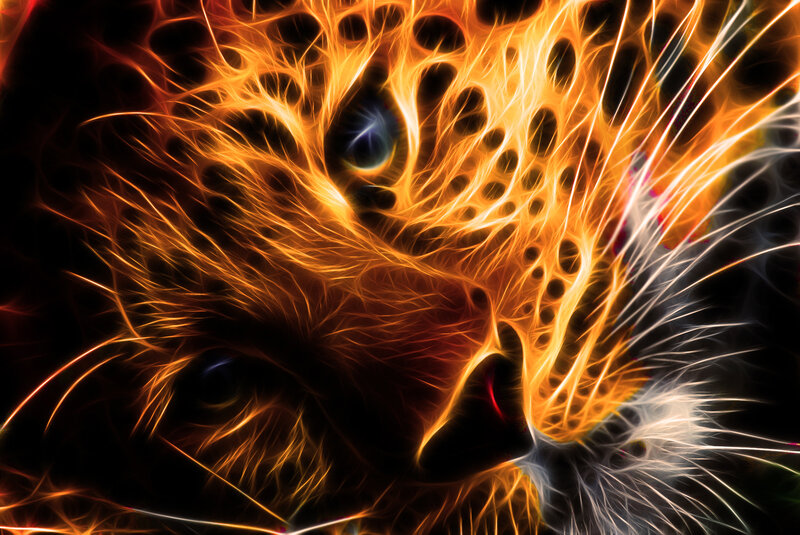 Fractal Cat Face — Orange