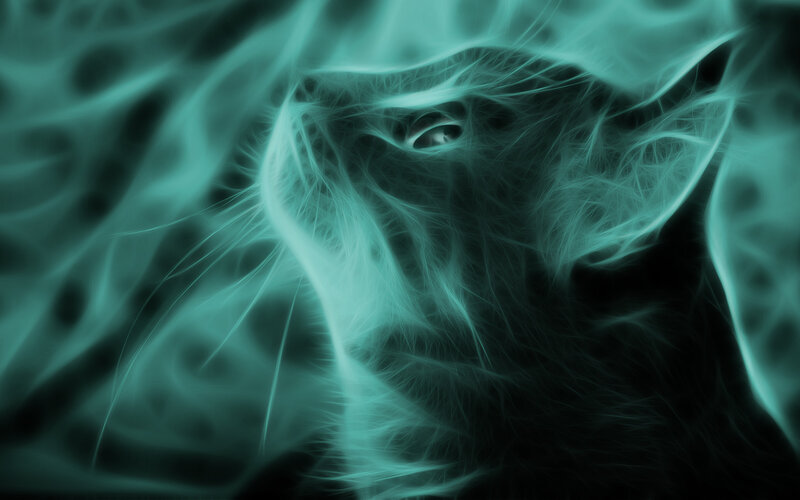 Fractal Cat Face — Teal