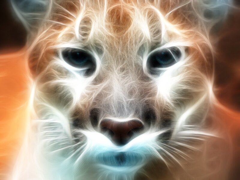 fractal cat face