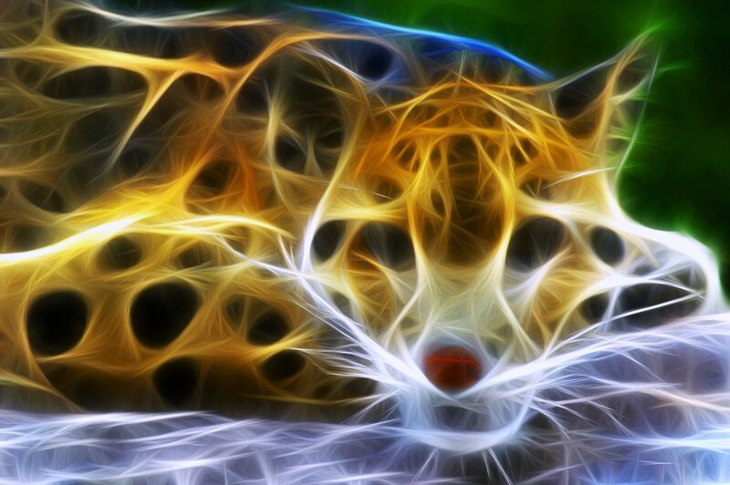 Fractal Cat Face — Yellow