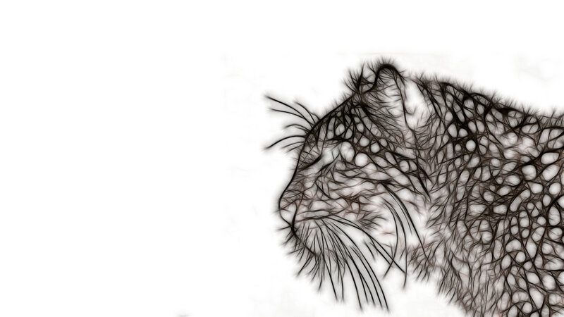 fractal cat head art