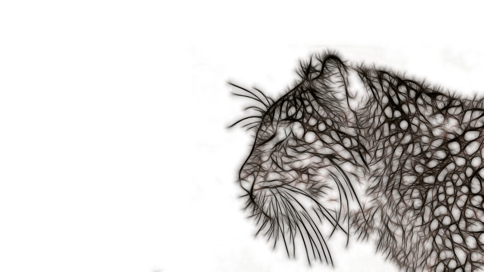 fractal cat head art