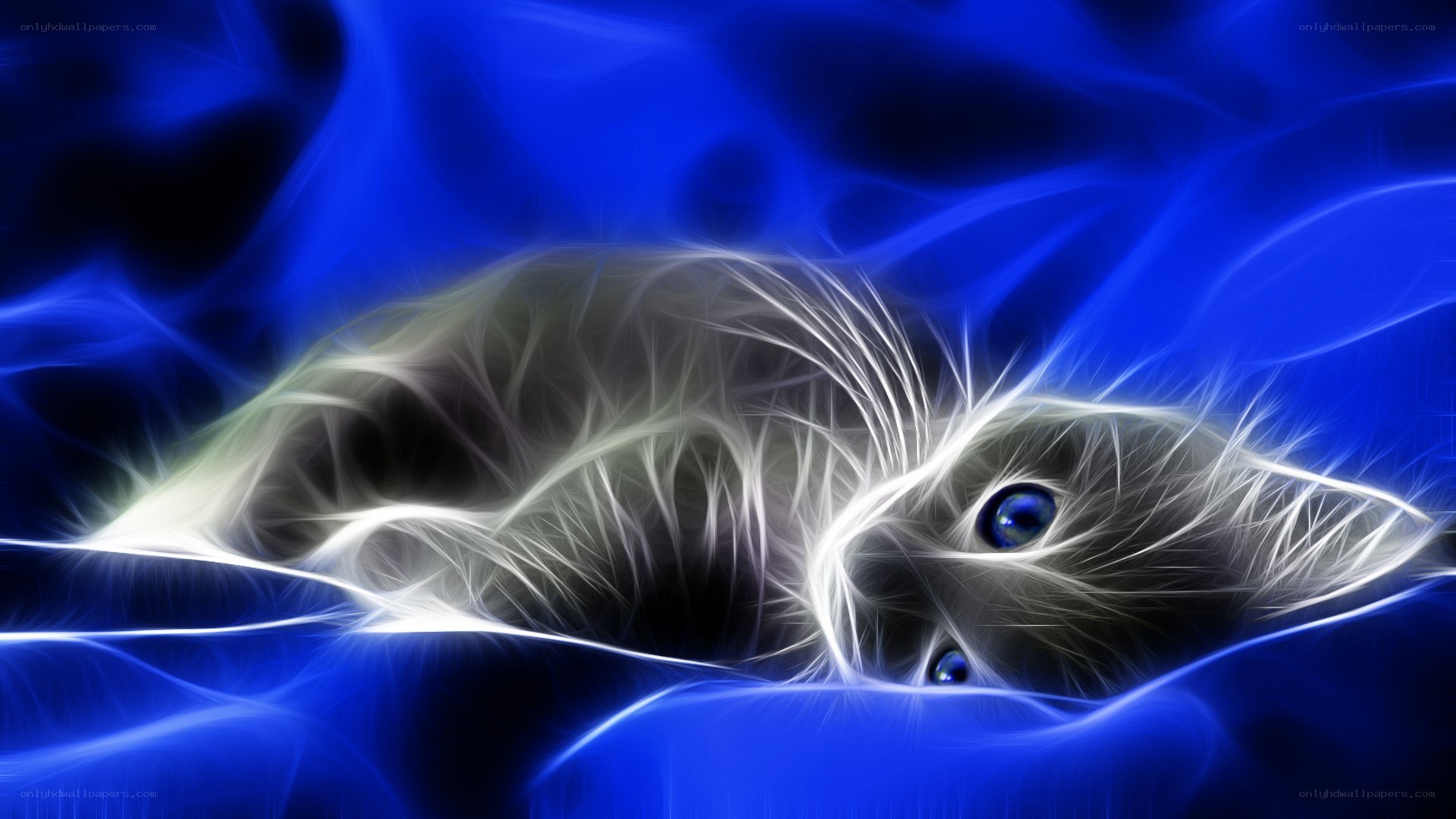 fractal cat in blue light