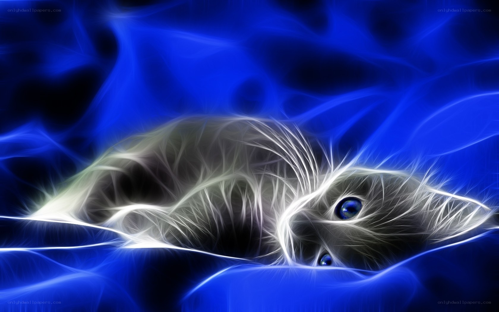 fractal cat in blue light