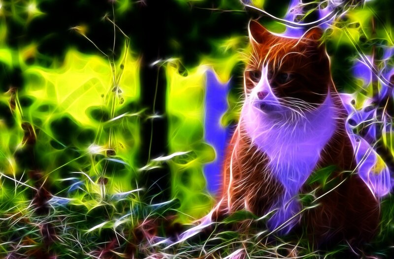 fractal cat in foliage