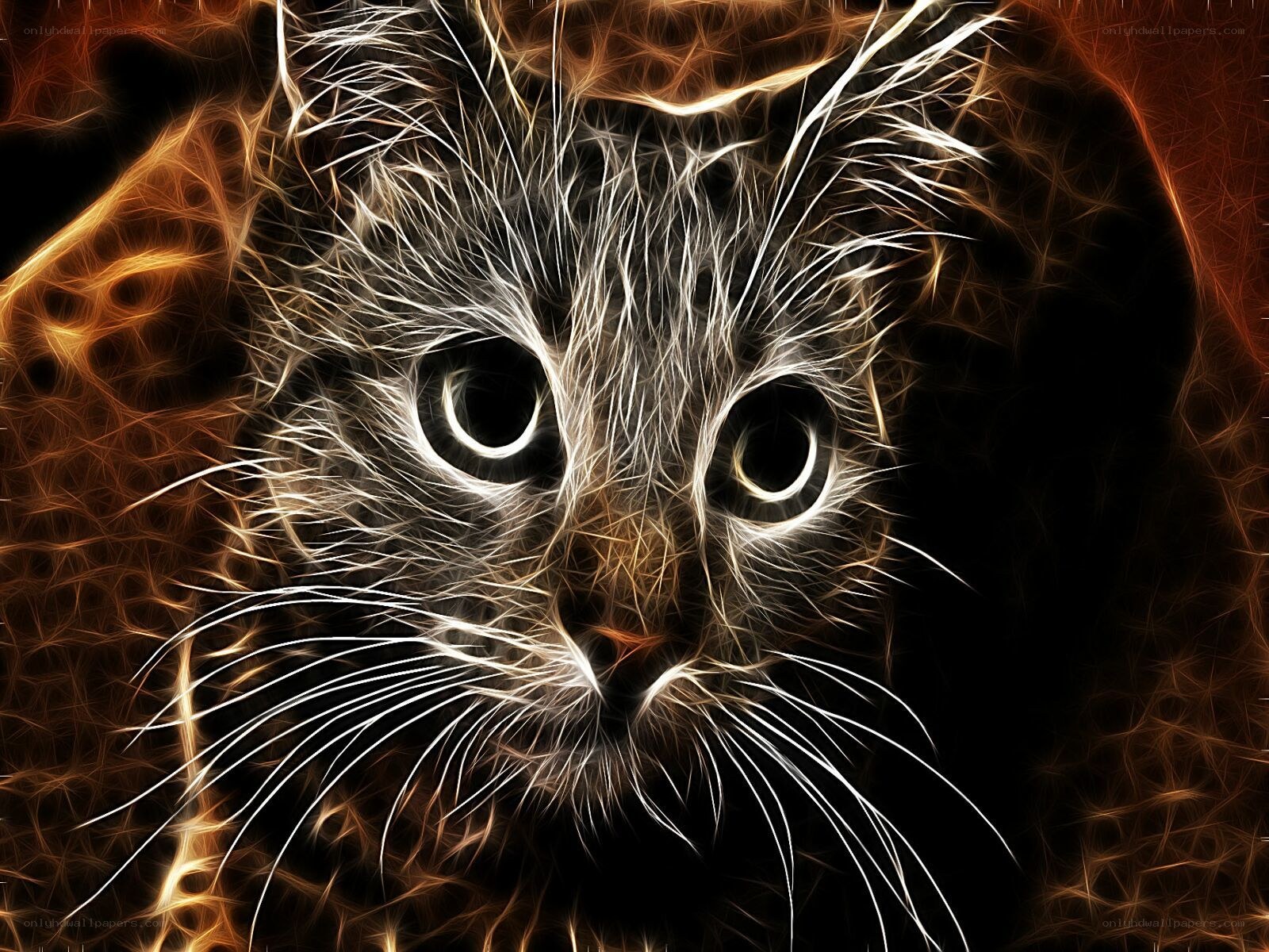 fractal cat portrait