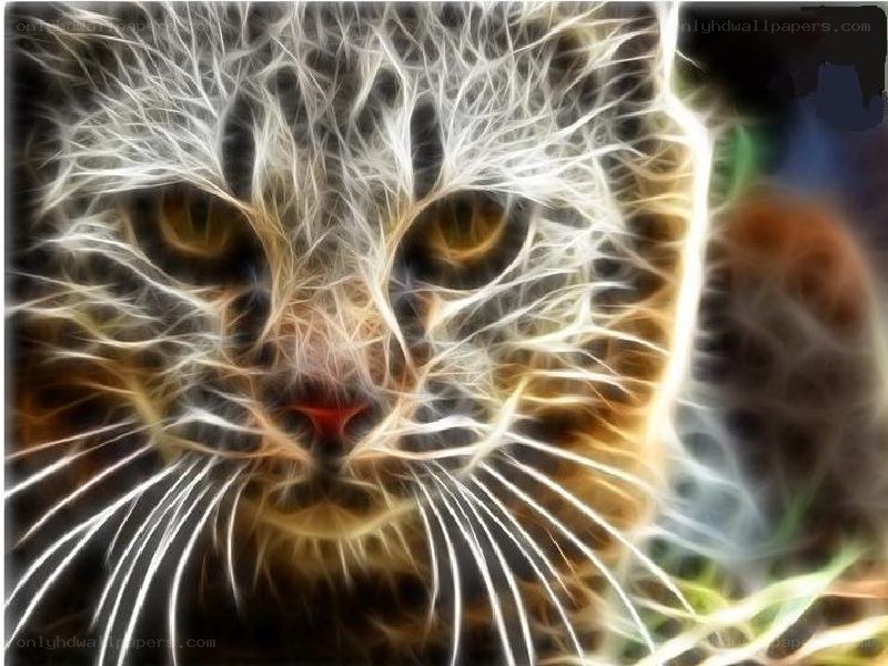 fractal cat portrait