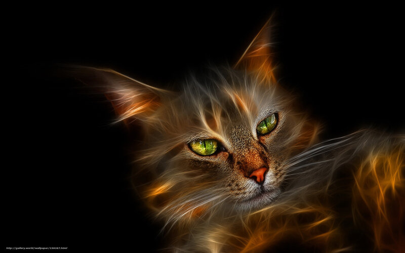Fractal Cat Portrait — Black