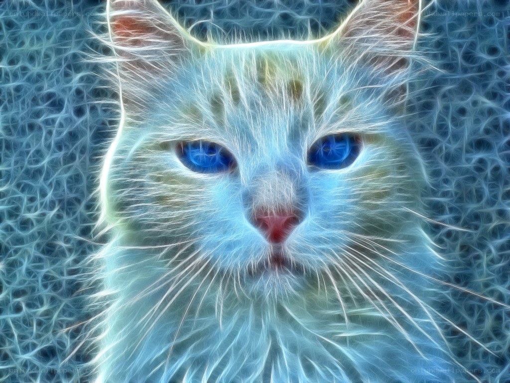fractal cat with blue eyes
