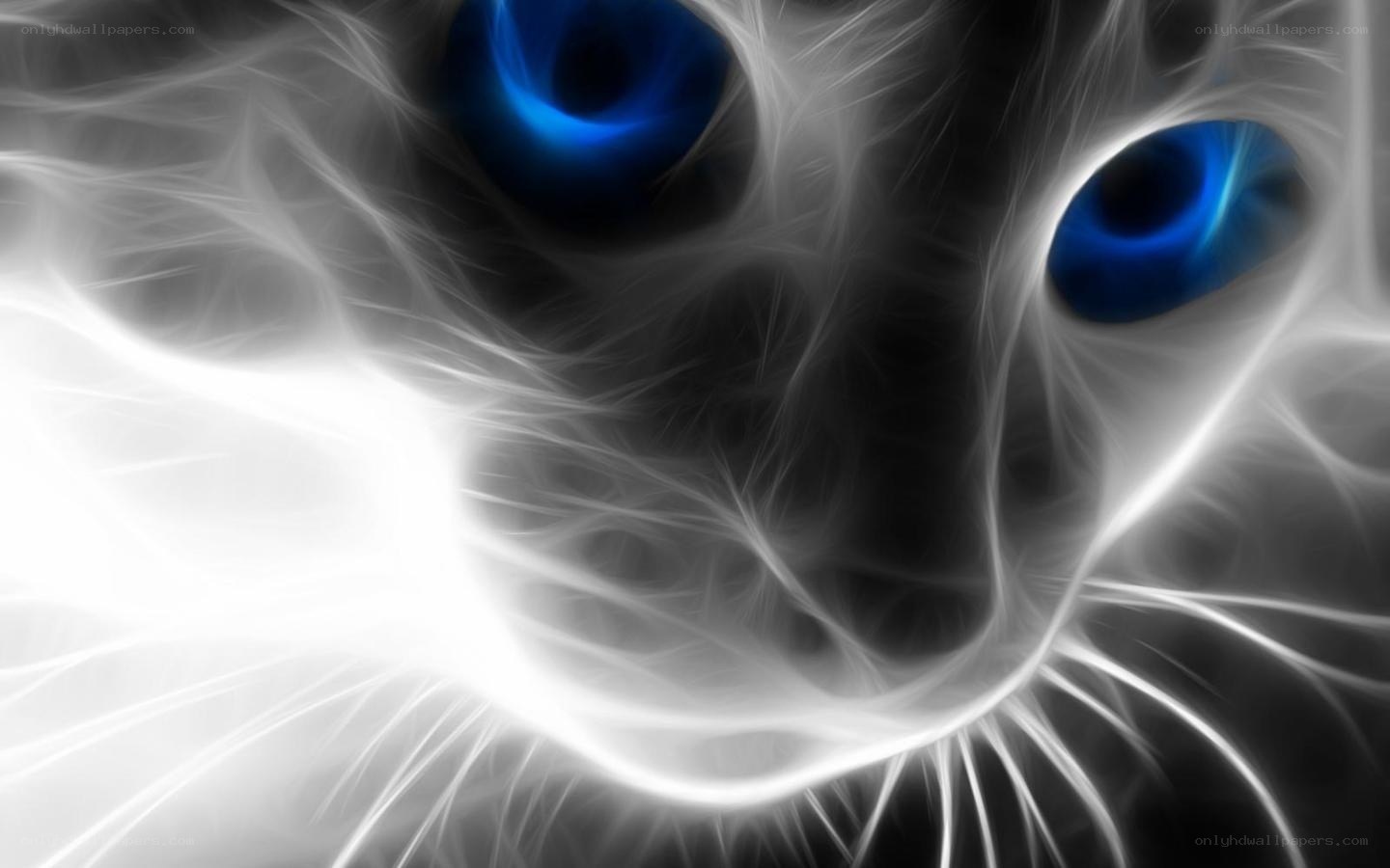 fractal cat with blue eyes