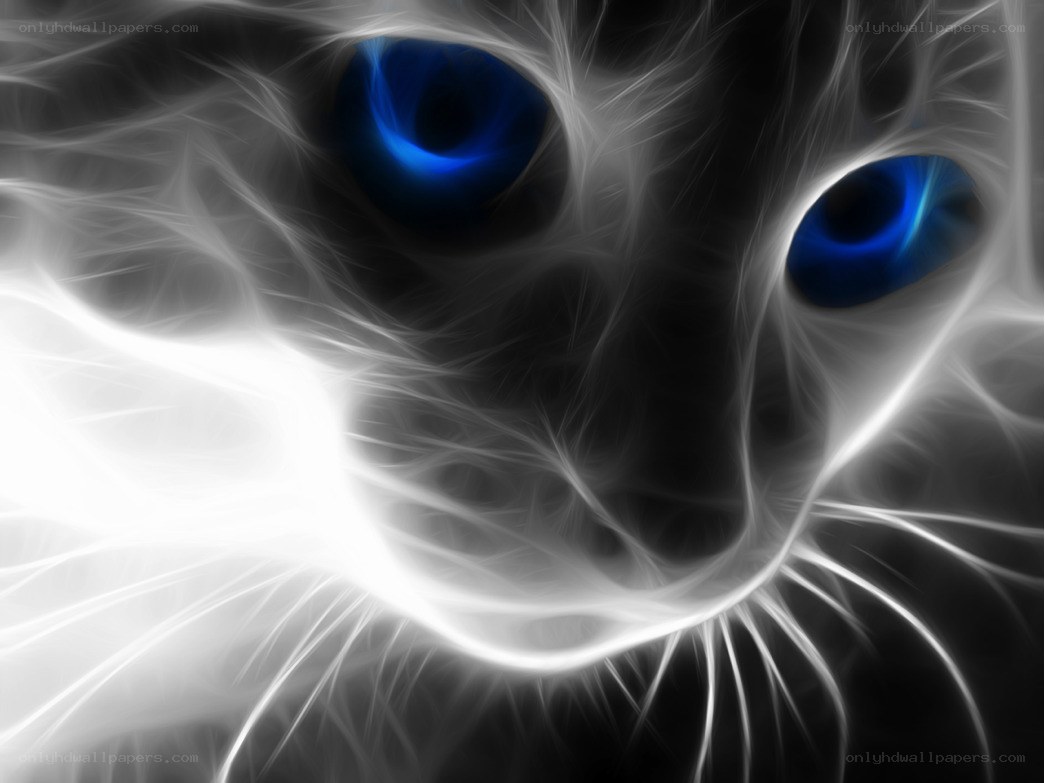 fractal cat with blue eyes