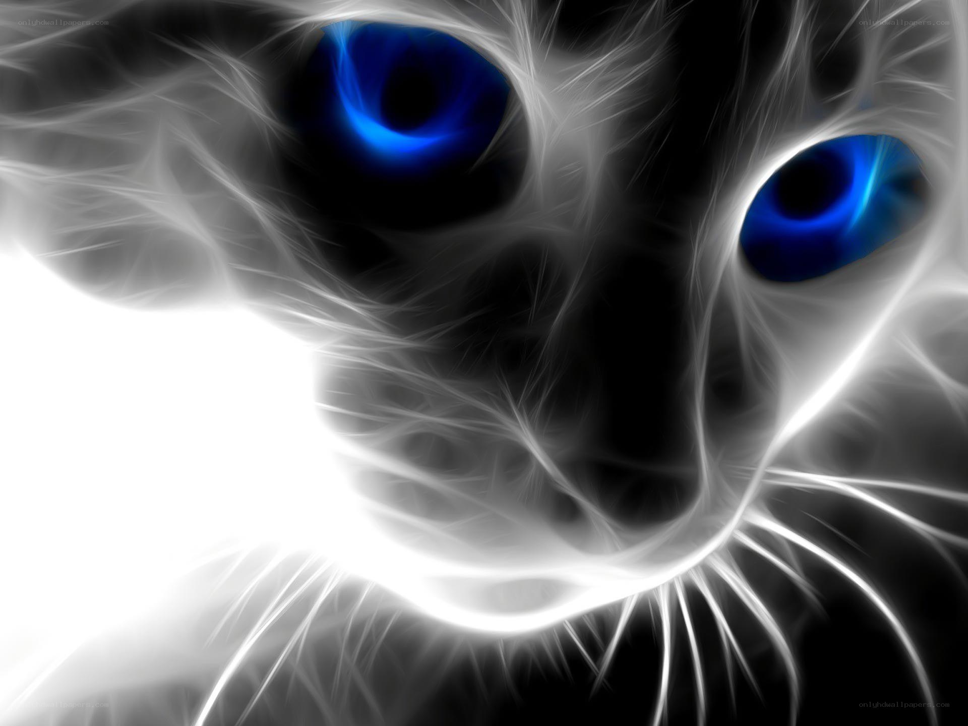 fractal cat with blue eyes