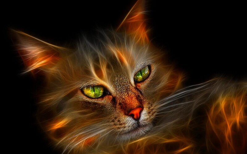 fractal cat with glowing eyes
