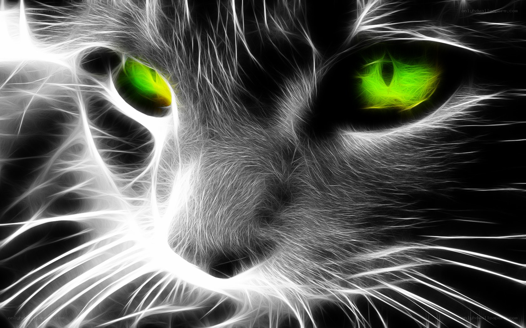 fractal cat with glowing eyes