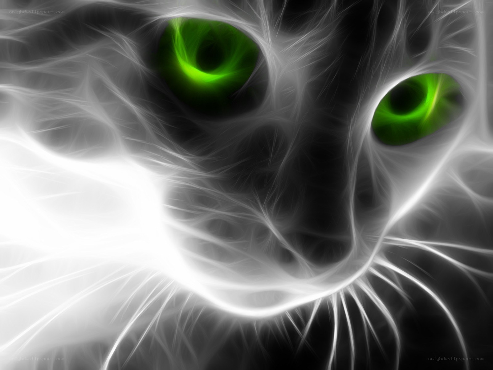 fractal cat with glowing eyes