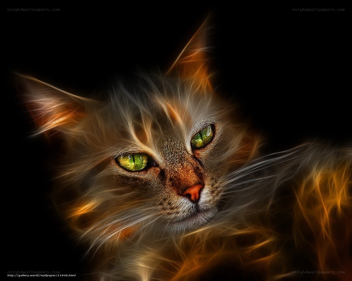 fractal cat with glowing eyes