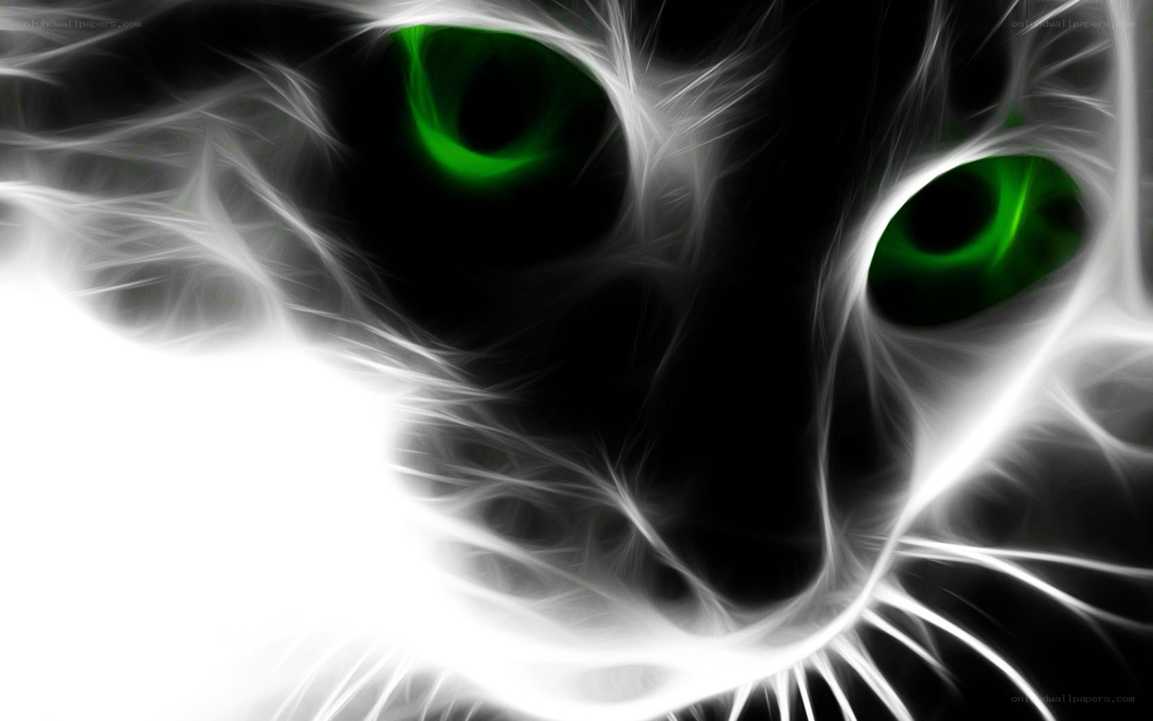 fractal cat with green eyes