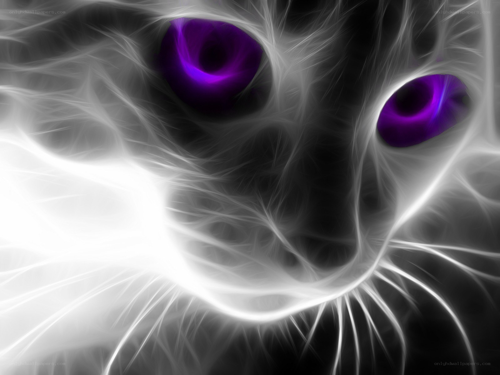 fractal cat with purple eyes