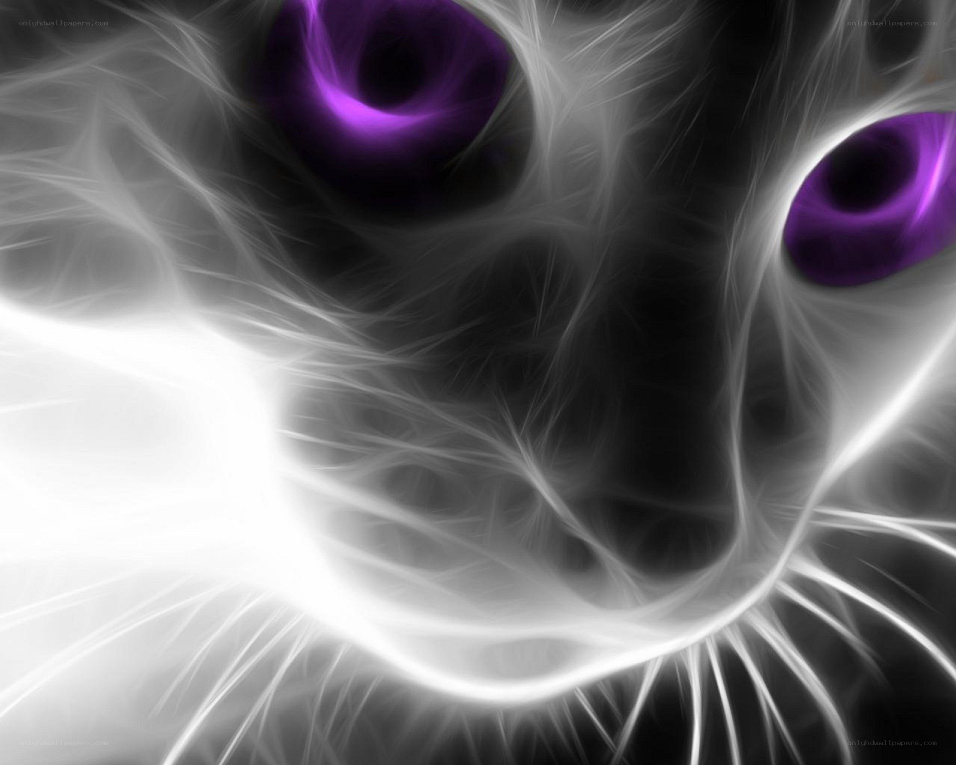 fractal cat with purple eyes