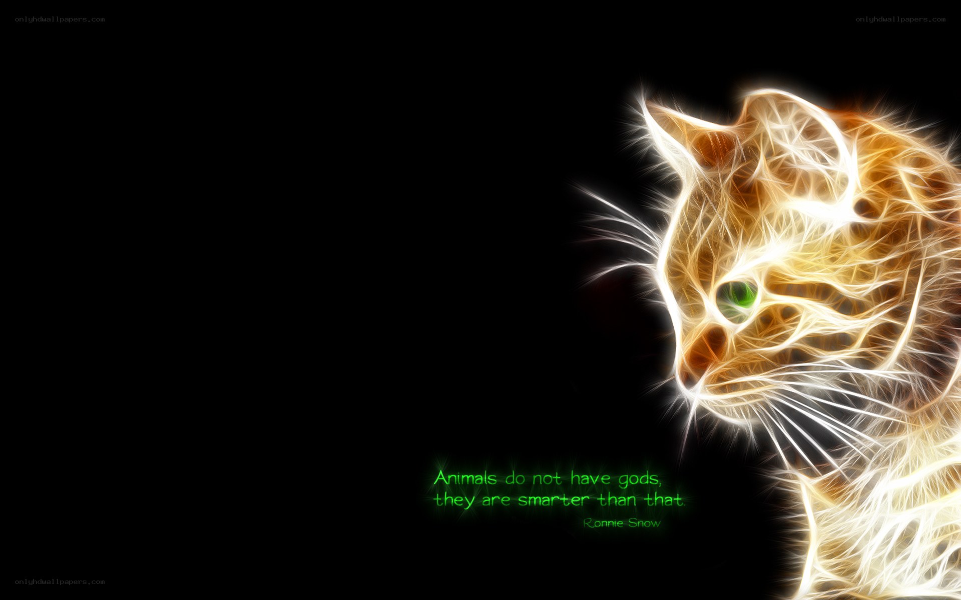 fractal cat with quote