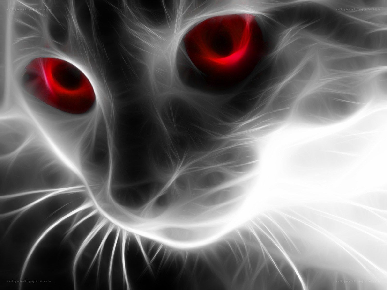 fractal cat with red eyes
