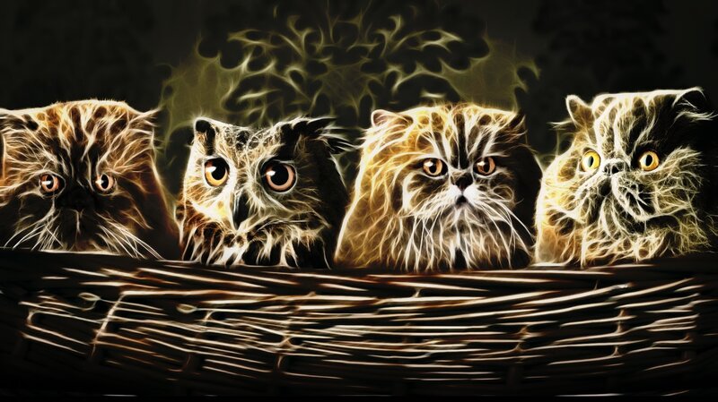 fractal cats and owl in basket
