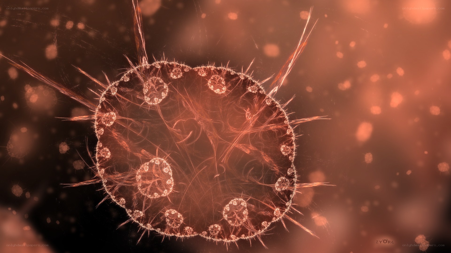 Fractal cell structure