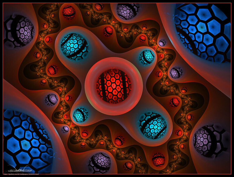 fractal cellular network