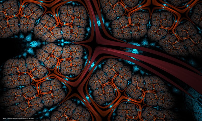 fractal cellular pattern