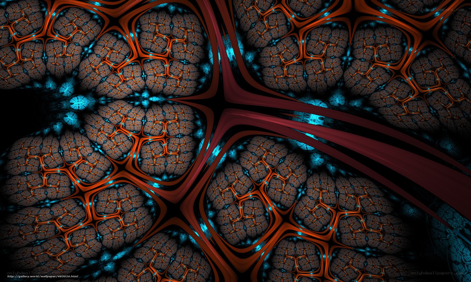 fractal cellular pattern