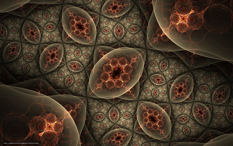 Fractal cellular patterns