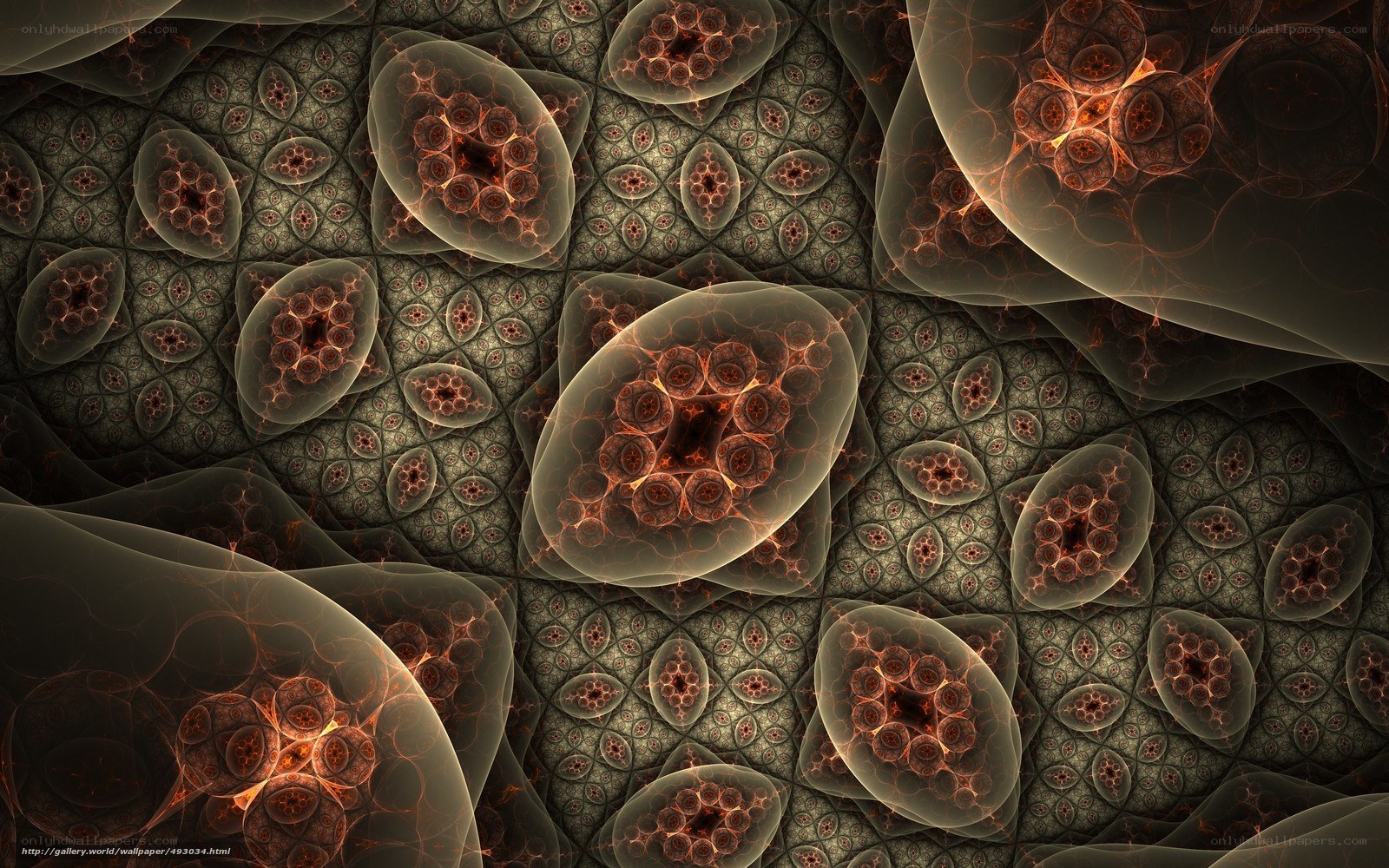Fractal cellular patterns