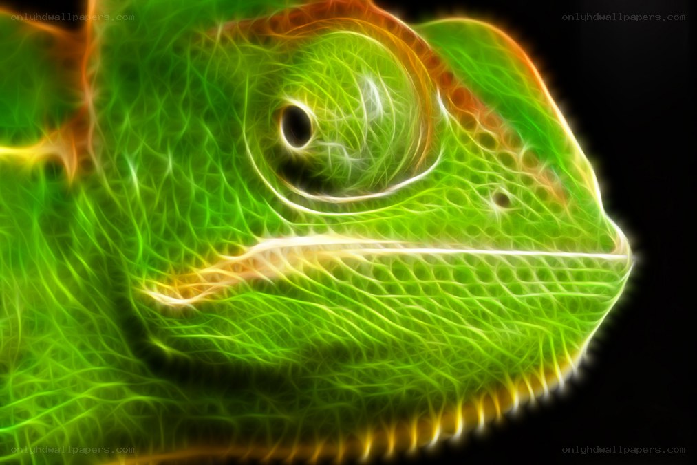 fractal chameleon portrait
