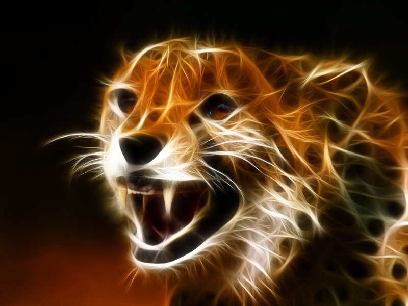 fractal cheetah head