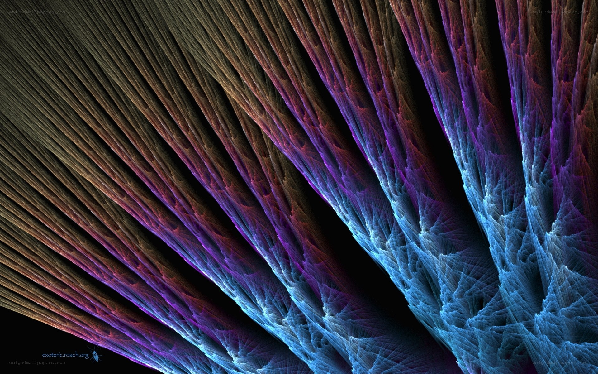 Fractal color wave pattern