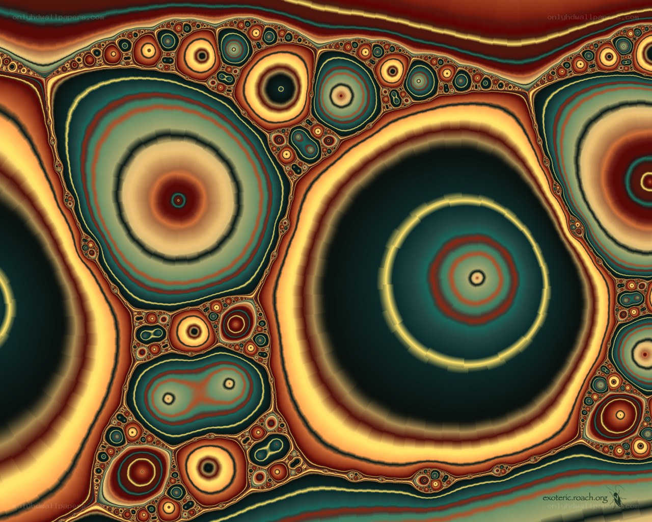 Fractal concentric circles