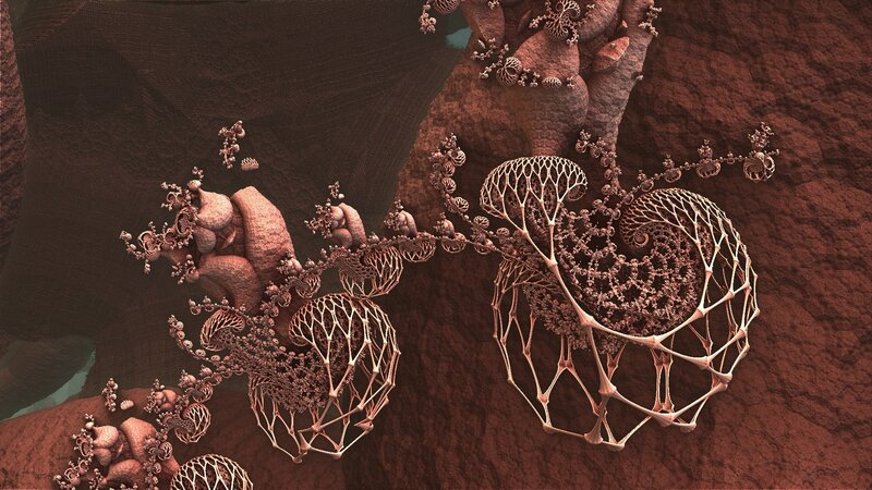 Fractal coral formations