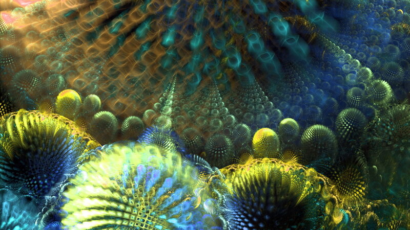 Fractal coral reef patterns