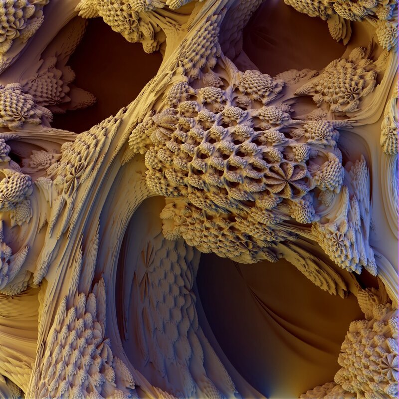 Fractal coral reef structure